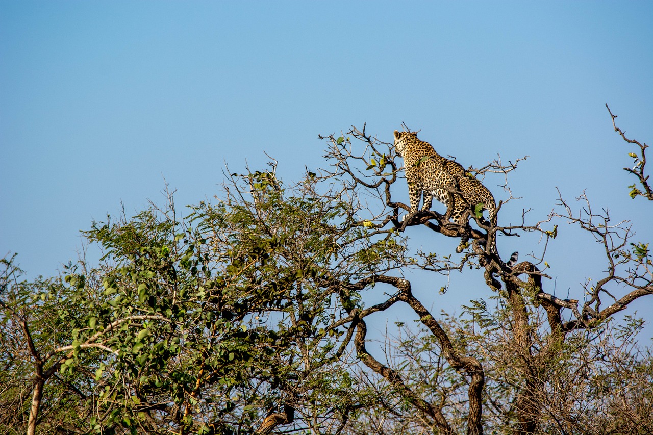 5-day trip to Junagadh, Gujarat